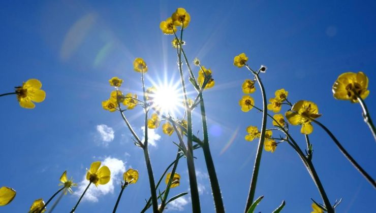 Rüzgarlar zayıflıyor, sıcak hava dalga dalga geliyor