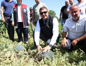 Düzce Valisi Aslan karpuz üreticisini tebrik etti