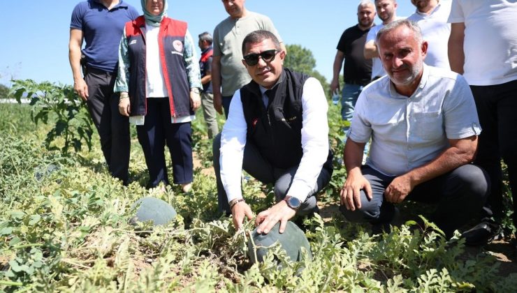 Düzce Valisi Aslan karpuz üreticisini tebrik etti