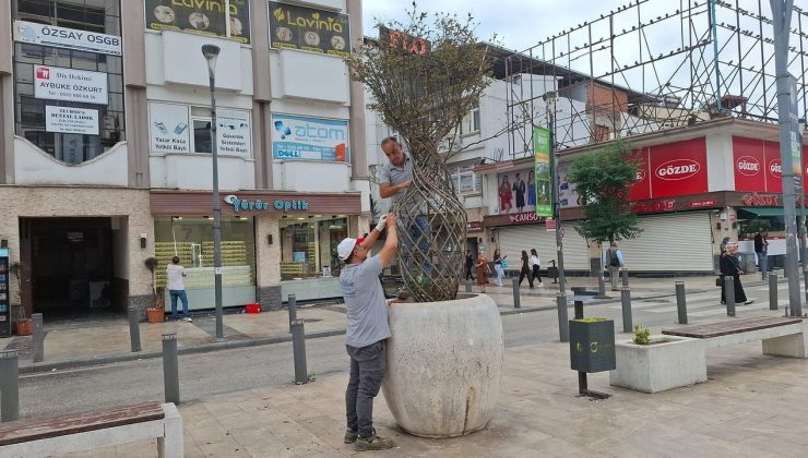 Ordu'nun kent estetiğine büyükşehir dokunuşu