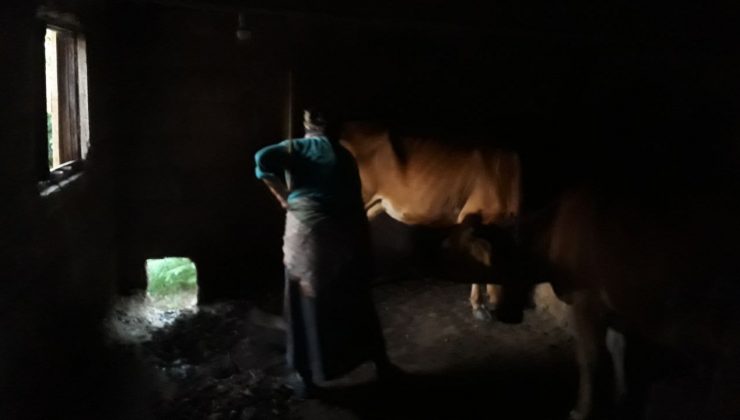 Karadeniz kadınının bitmeyen çilesi