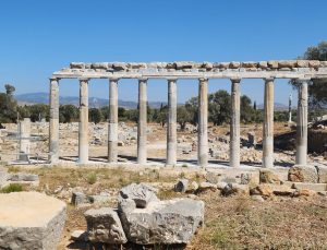 Ege’nin Sessiz Tanığı: Teos Antik Kenti’nde Zamanın İzleri