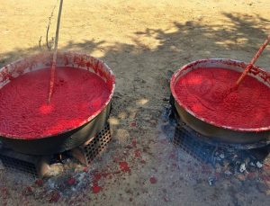 Kırıkkale’de geleneksel salça mesaisi sürüyor