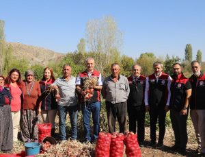 Kılıçlar Soğanında verim üreticiyi sevindirdi