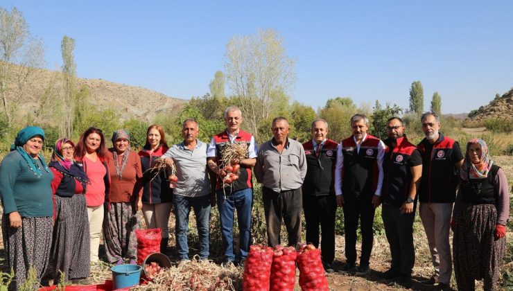 Kılıçlar Soğanında verim üreticiyi sevindirdi