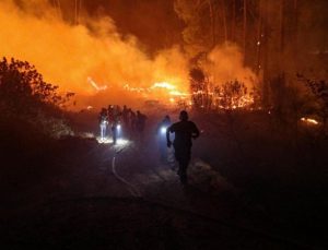 Alanya’da orman yangını: 1 kişi dumandan etkilendi
