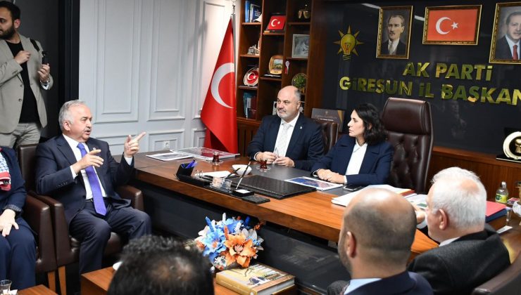 Giresun Organize Sanayi bölgesine yeni destek