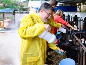 Türkiye'de Büyük ve Küçük Baş Hayvan Sayısı Açıklandı