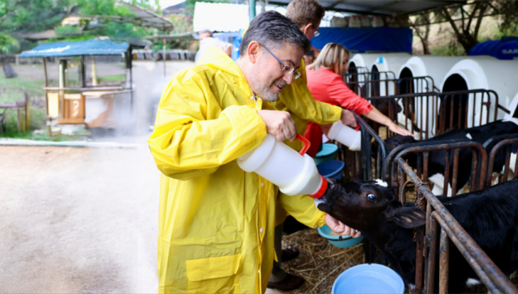 Türkiye'de Büyük ve Küçük Baş Hayvan Sayısı Açıklandı