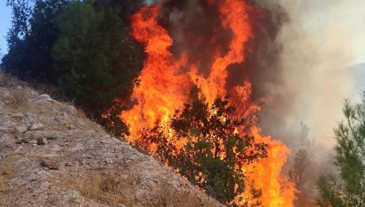 Balıkesir Sındırgı’da orman tangını: Ekipler seferber oldu