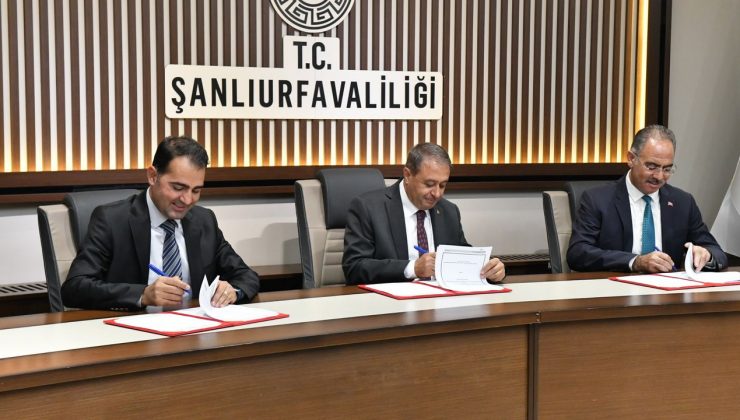 Eyyübiye Belediyesi: "Balıklı Göl dousuna uygun olarak aydınlanacak"