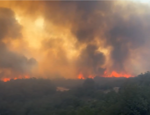 Karabük ve Bursa’da orman yangınları: Ekipler müdahale ediyor