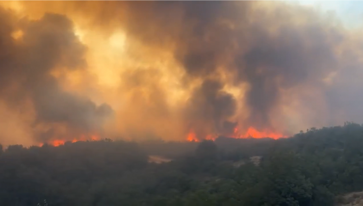 Aydın’da zeytinlik ve ormanlık alandaki yangın ikinci gününde devam ediyor