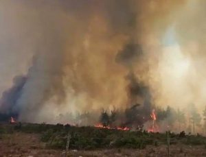 Kastamonu’da orman yangınlarıyla mücadele sürüyor