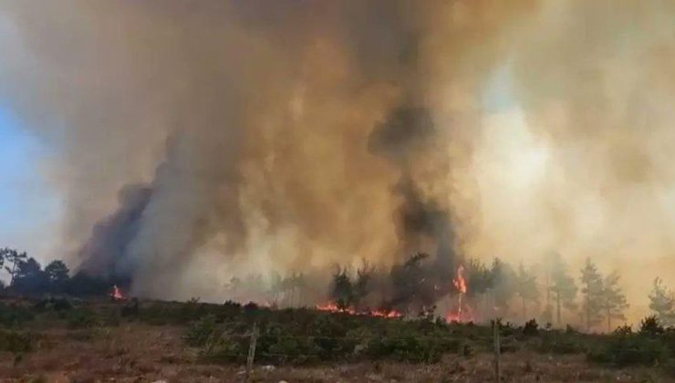 Kastamonu’da orman yangınlarıyla mücadele sürüyor