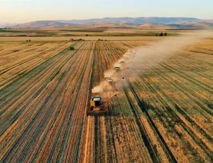 İşlenmeyen araziler çiftçilere kiralanacak