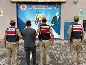 Kars'ta şüphe üzerine durdurulan araçtan çalıntı büyükbaş hayvanlar çıktı