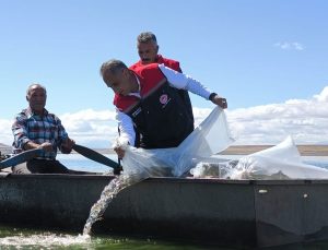 Kars'ta Baraj ve Göletlere 500 Bin Yavru Sazan Bırakıldı
