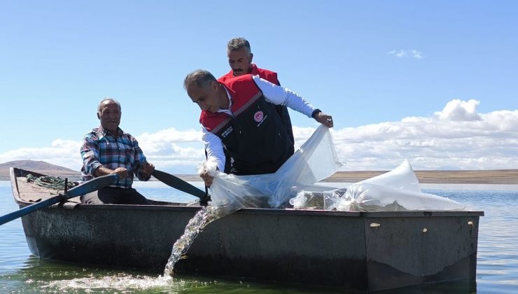 Kars'ta Baraj ve Göletlere 500 Bin Yavru Sazan Bırakıldı