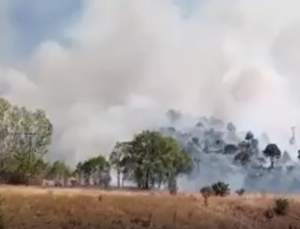 Sivas’ın Zara ilçesinde ağaçlık alanda yangın çıktı