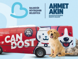 Can dostların bakım ve tedavileri tam gaz devam ediyor