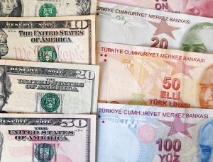 Firmaların net döviz açığında temmuzda düşüş