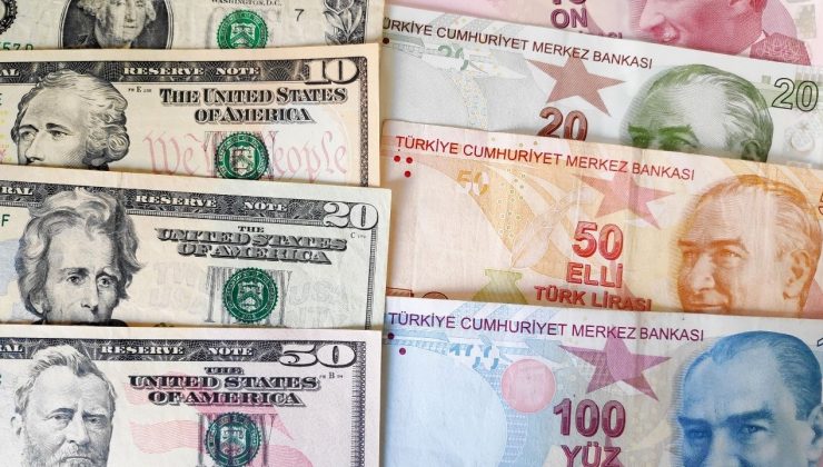 Firmaların net döviz açığında temmuzda düşüş