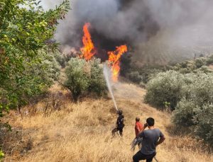 Orman gönüllülerine şehit statüsü getirildi