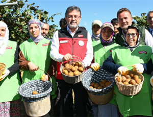 Bakan Yumaklı Kivi Hasadına Katıldı