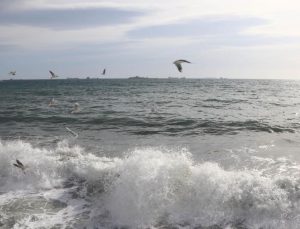 Marmara kıyılarında 1,6 milyon kişi iklim riski altında