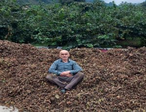 Fındık fiyatı düşürülmeye mi çalışılıyor?