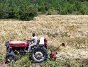 İstanbul’dan Ordu’ya uzanan çiftçilik öyküsü başarıya dönüştü