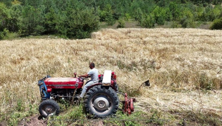 İstanbul’dan Ordu’ya uzanan çiftçilik öyküsü başarıya dönüştü