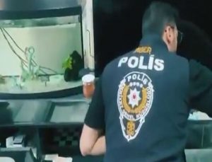 Siber Suçlarla Mücadele Kapsamında 170 Şüpheli Yakalandı