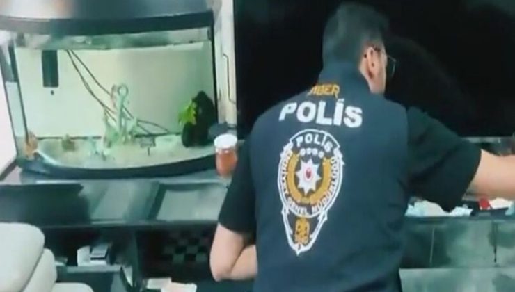 Siber Suçlarla Mücadele Kapsamında 170 Şüpheli Yakalandı