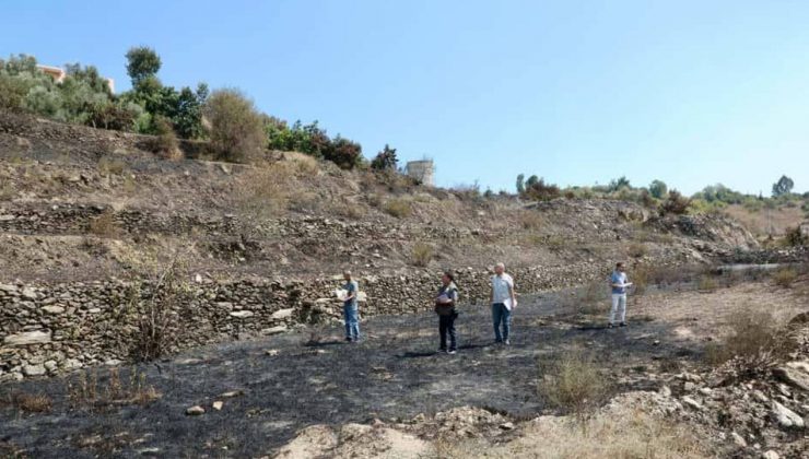 Alanya’daki yangınlar söndürüldü, hasar tespit çalışmaları başladı