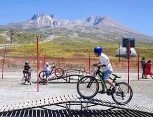 Trafikte bisiklet güvenliğine acil çağrı