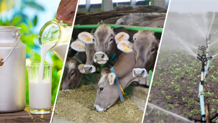 Tarımsal Destekleme Ödemeleri Hesaplara Yatmaya Başladı