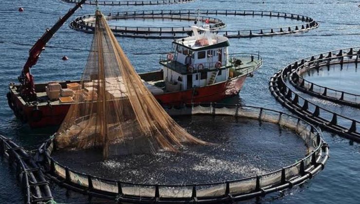 Pazar’da kafes balıkçılığına tepki: Denizimizi kirletmeyin