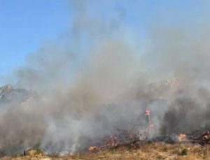 Şırnak’ta Bestler Dereler bölgesinde orman ve örtü yangını