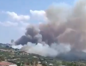 Bursa Gündoğdu'da Orman Yangını