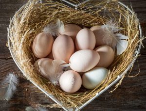 Türkiye’nin ABD’ye yumurta ihracatı 4 kat arttı