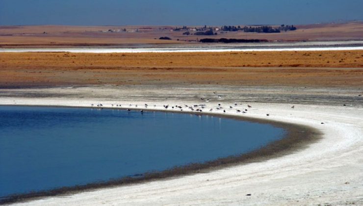 Tuz Gölü’nde kuraklık biyolojik çeşitliliği tehdit ediyor