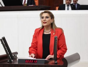 Elvan Işık Gezmiş İstiklal Madalyası için kanun teklifi verdi