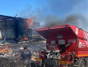 Kulübede yangın! 25 güvercin yanarak can verdi