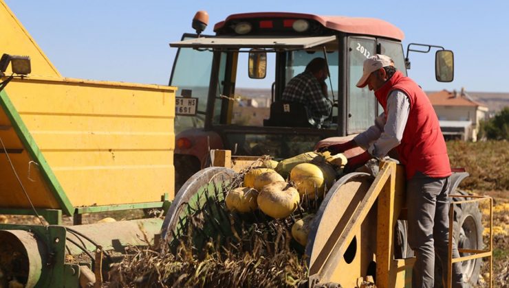 Isparta’da kabak sezonu başladı