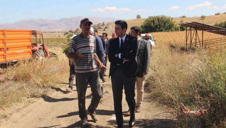 Tefenni ovası’nda mısır hasadı incelemesi