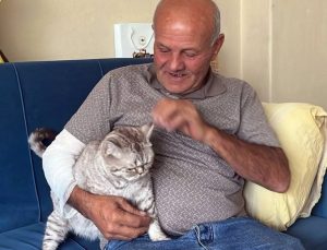 Kolunu ısıran köpeğe mama bırakıp hastaneye giden taksici: “Sevgimden vazgeçmem”