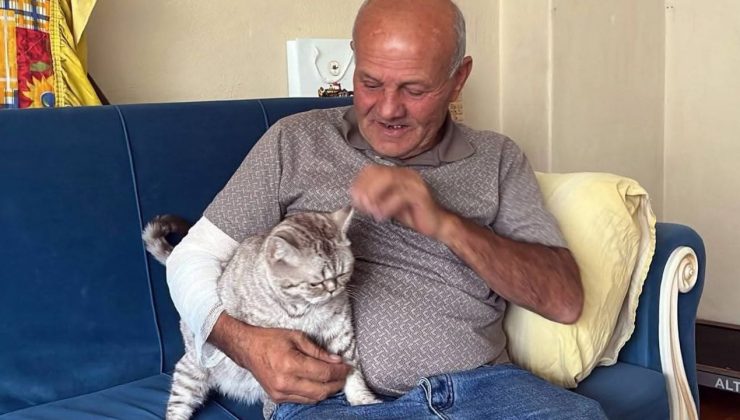 Kolunu ısıran köpeğe mama bırakıp hastaneye giden taksici: “Sevgimden vazgeçmem”