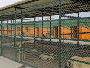 En modern hayvan barınağı Isparta’da